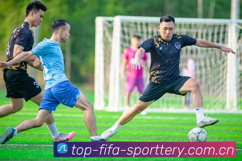 FIFA 官方数据授权认证